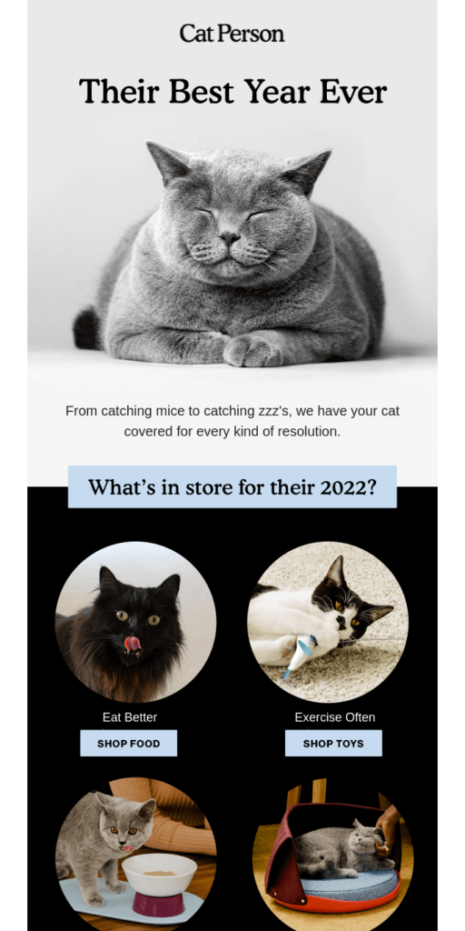 Christmas email idea: an email template with cats' photos and a caption: their best year ever