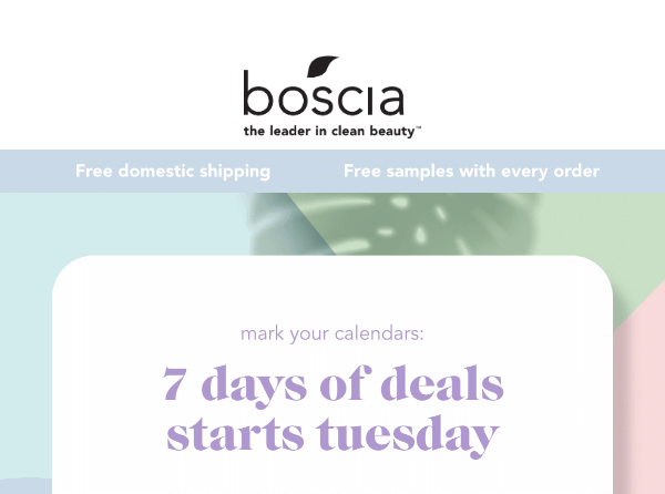 An email by Boscia Skincare expanding on the question in their Cyber Monday subject line